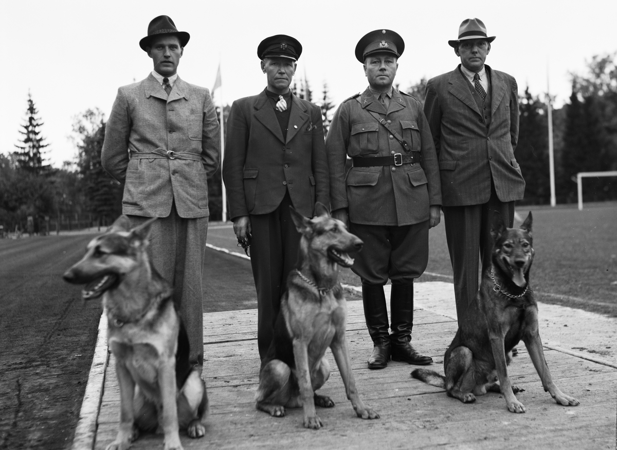 Paul Sandberg, Dog Drivers at the Students Sports Place, Uppsala 1943