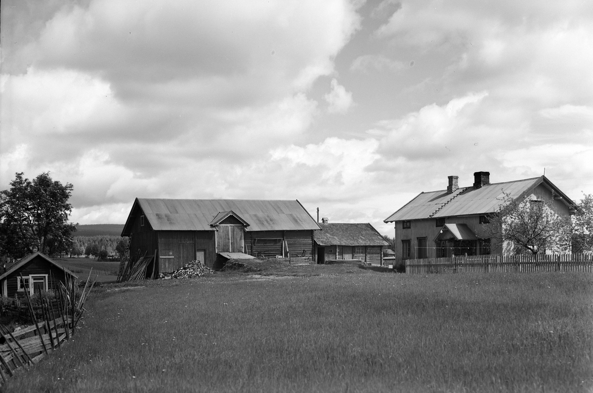 Anno Domkirkeodden, EKSTR: GARDSTUN, ANBERG. Se Løtenboka, bind 2. Bygdeboka fra 1953, side 333