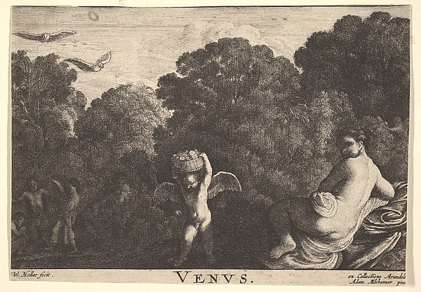 Wenceslaus Hollar, Realm of Venus