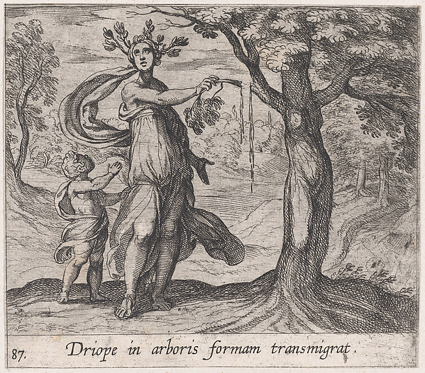 Antonio Tempesta, Plate 87: Dryope Changed into a Lotus Tree (Driope in arboris formam transmigrat), from Ovid's 'Metamorphoses'