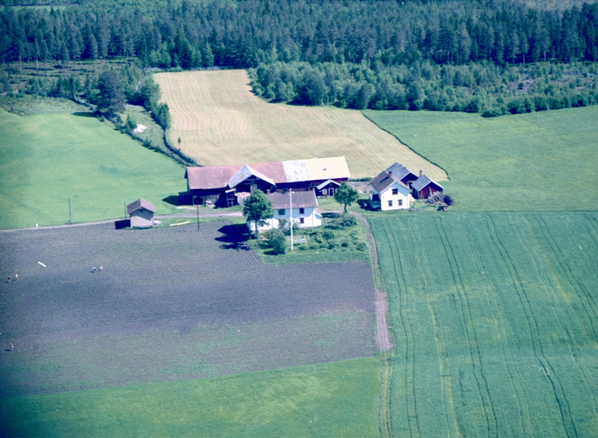 Widerøes Flyveselskap A/S, FLYFOTO EKRUM GARD