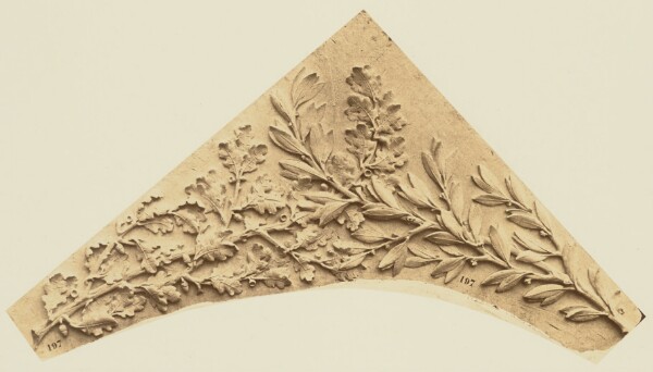 Édouard Baldus, [Ornamental Foliage by Auguste Jean Baptiste Lechesne, Decoration of the Louvre, Paris]