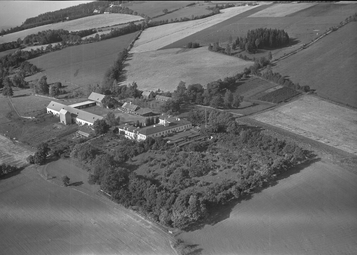 Anno Domkirkeodden, Flyfoto, gardsbruk, Hovinsholm, Helgøya.