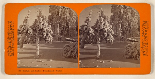 George E. Curtis, Sunlight and Shadow - Luna Island -Winter. [Niagara Falls, New York]
