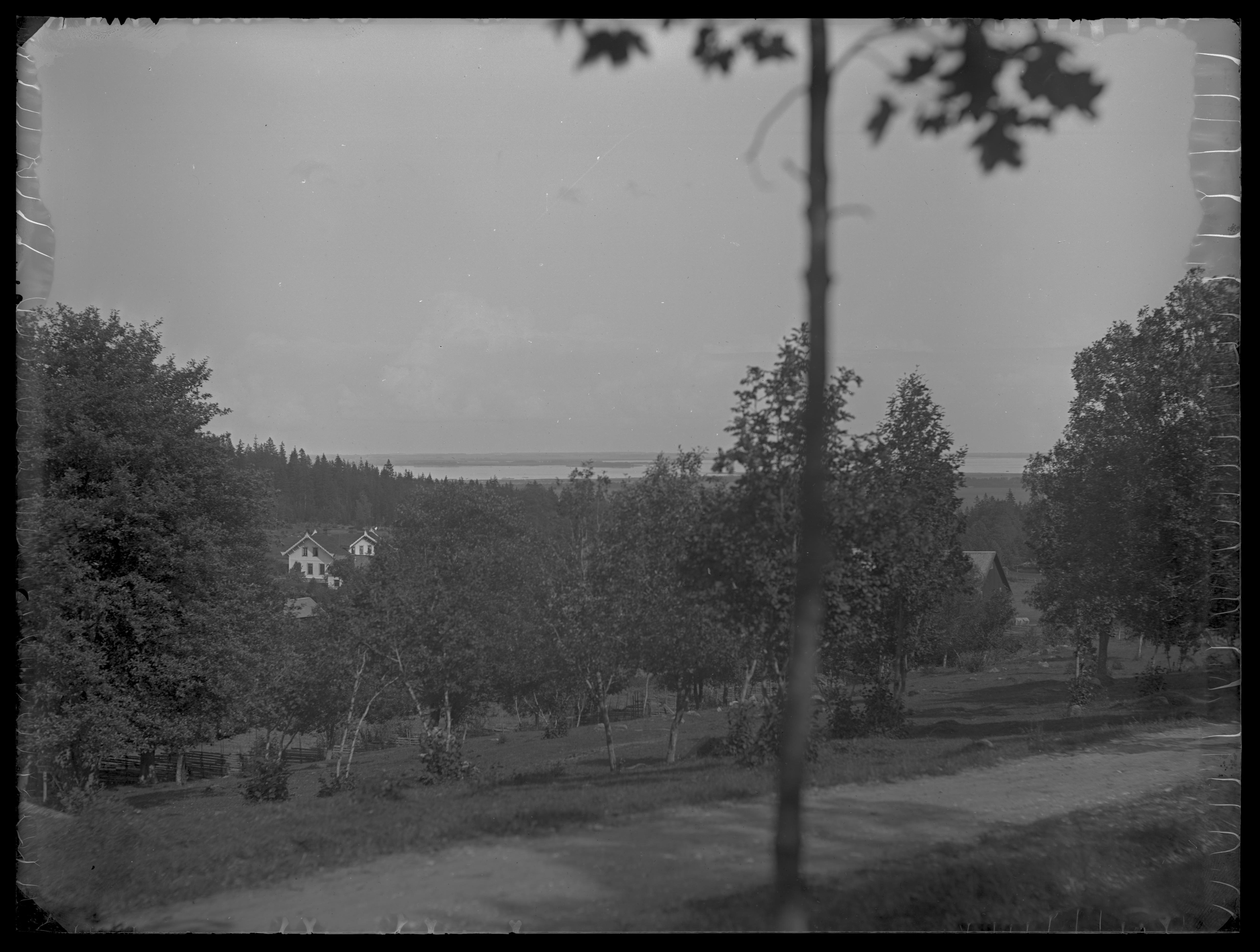 Carl Curman, Höje gård