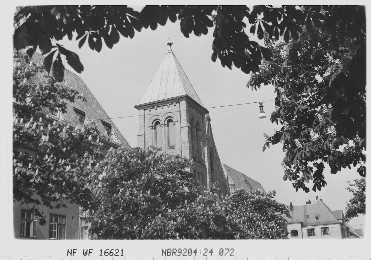 Anders Beer Wilse, Prot: Frogner Kirke Kastanjer