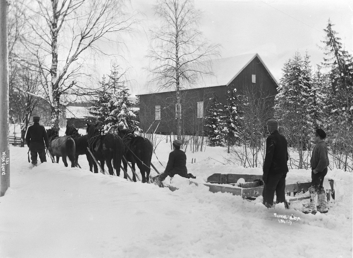 Anders Beer Wilse, Prot: Sneplougen 3/4 heste bakfra Mars 1901