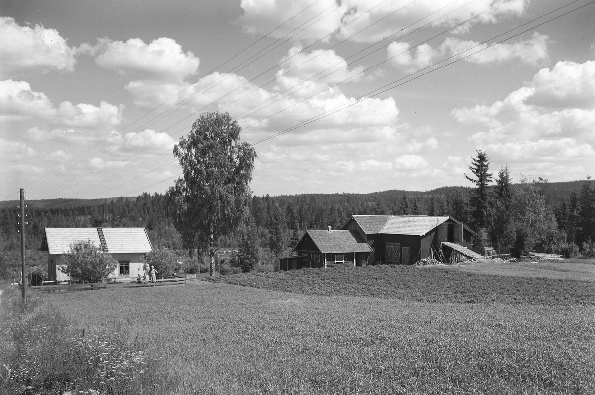 Anno Domkirkeodden, EKSTR: GARDSTUN, ØSTLUND, LØTEN. Se Løtenboka, bind 3. Bygdeboka fra 1955, side 653