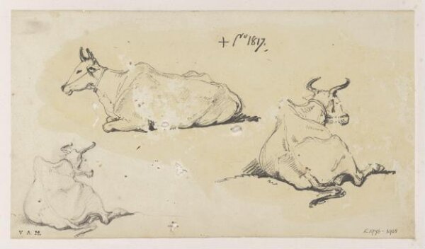 George Chinnery, Three drawings of humped cattle