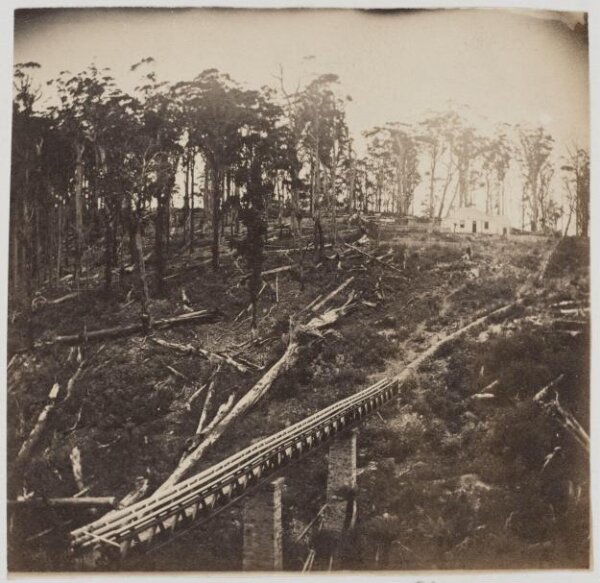 unknown, Photograph