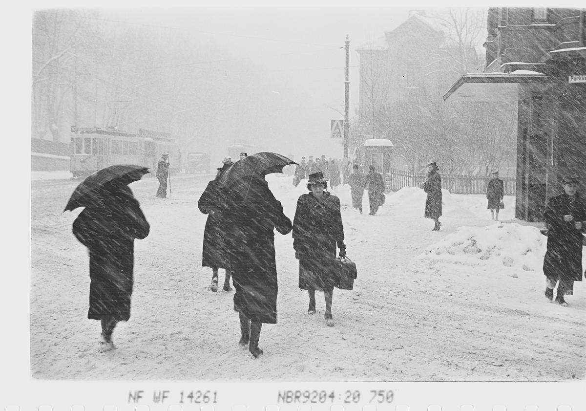 Anders Beer Wilse, Prot: Sneveir