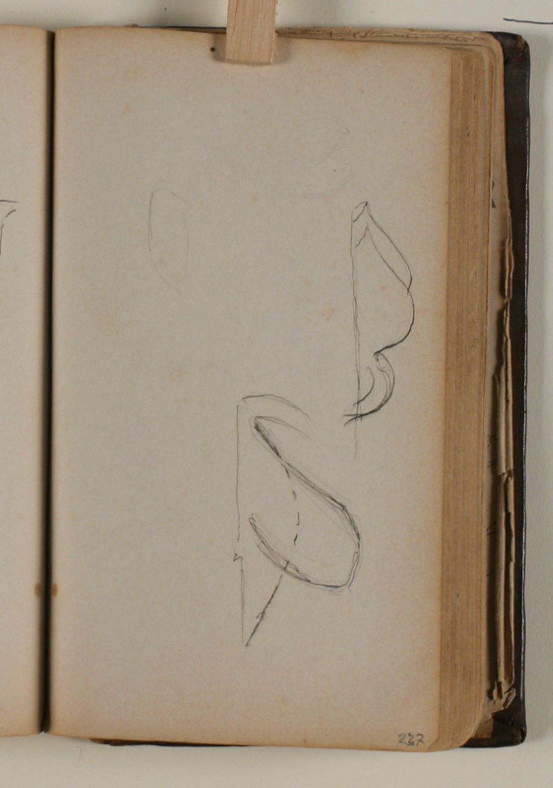 Niels Larsen Stevns, Studier af svaner