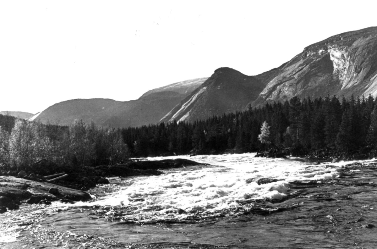 Anna Grostøl, Oversitsbilde ovenfor Valle 1938.