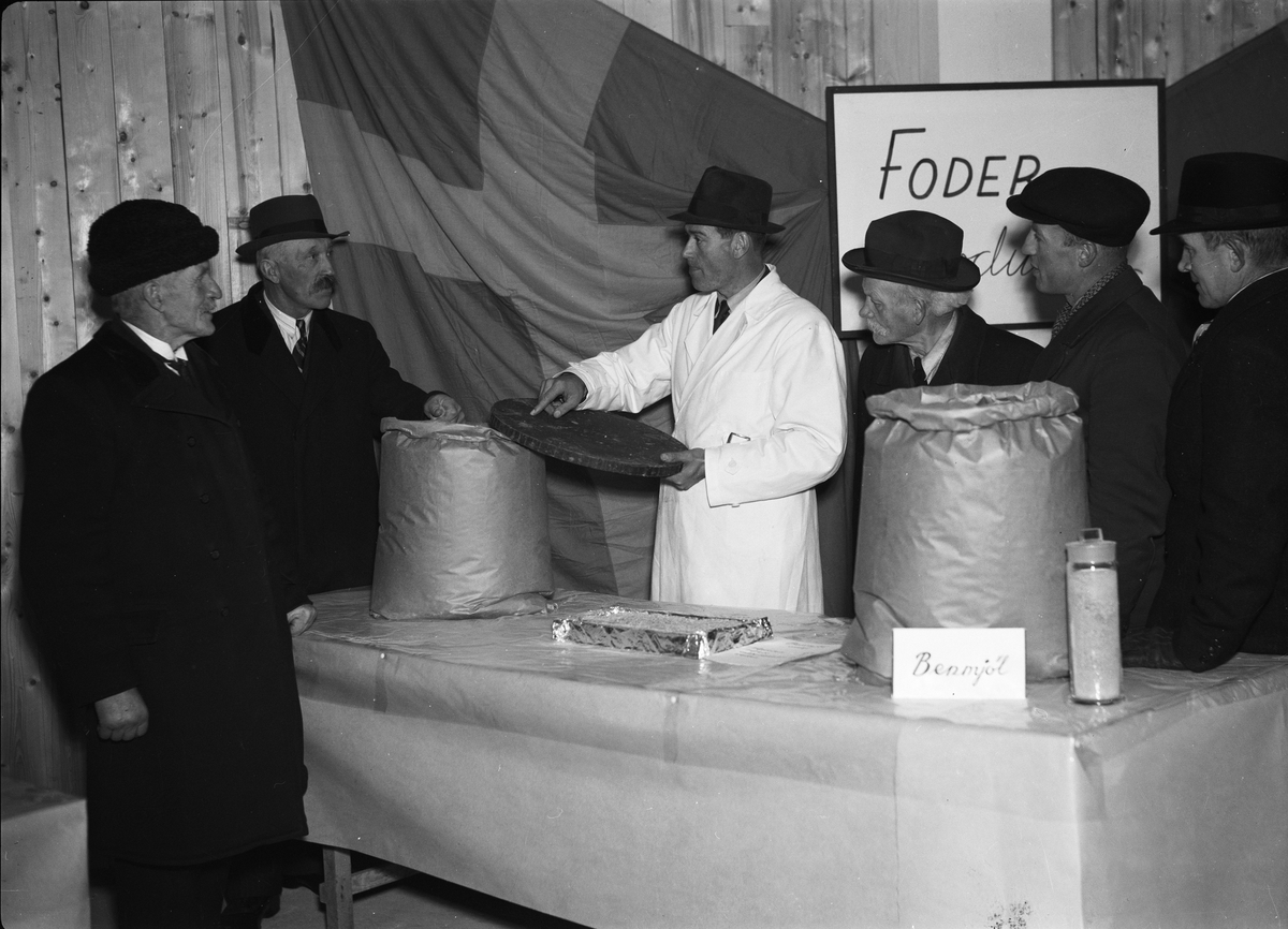Paul Sandberg, Föreståndare Erik Röjgård "demonsterar utställningen av foderprodukter" på Stockholm-Gävle Slakteriförenings propagandautställning på Svartbäcksgatan 25