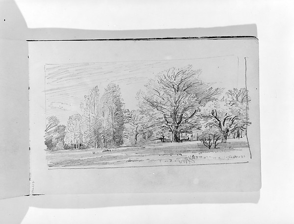 William Trost Richards, Landscape with Trees (from Sketchbook VII)
