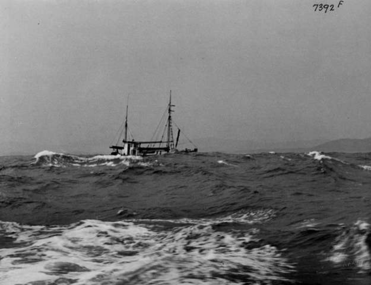 Anders Beer Wilse, -7311