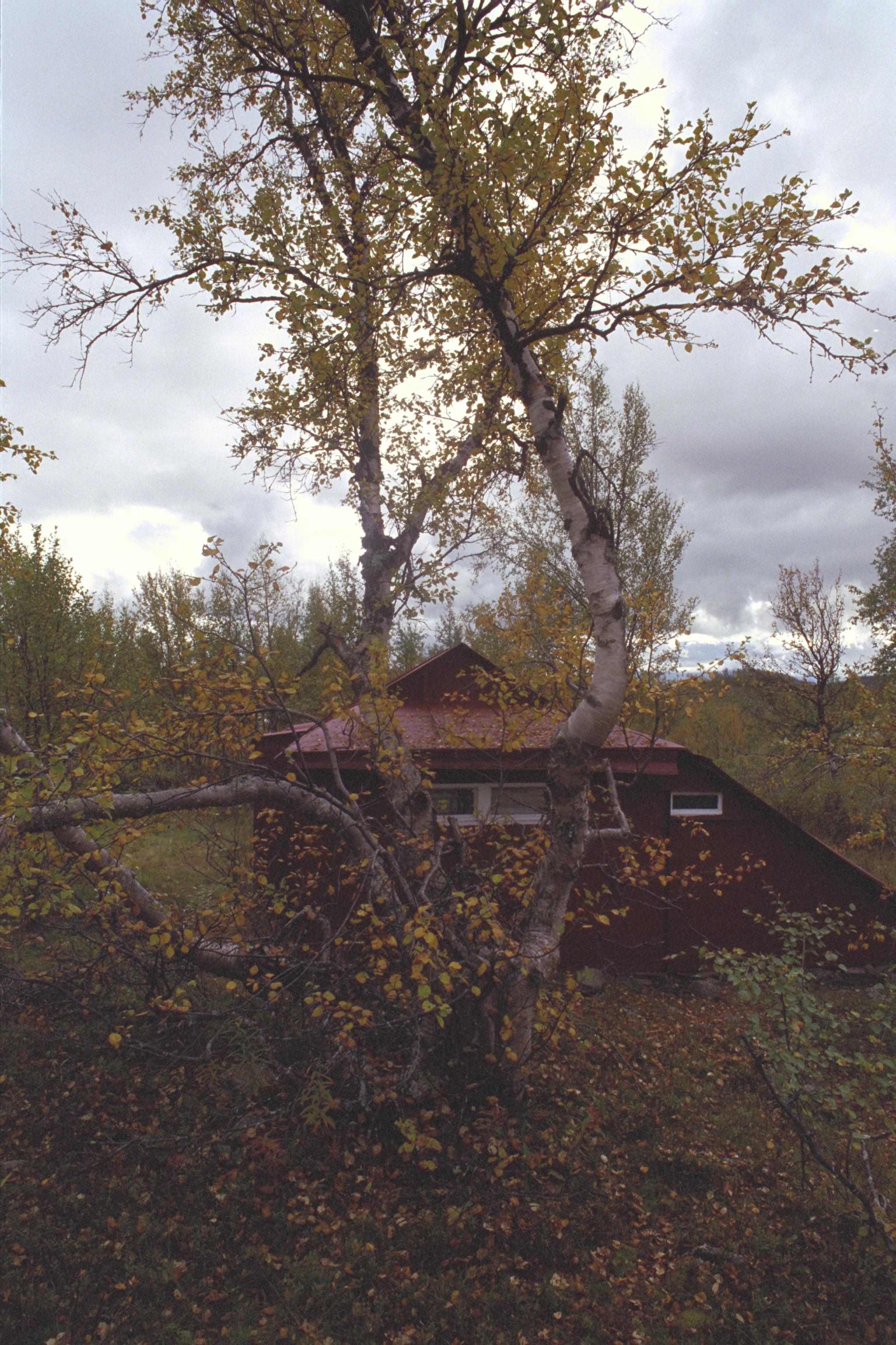 Bengt A Lundberg, Boarek (Pårek)