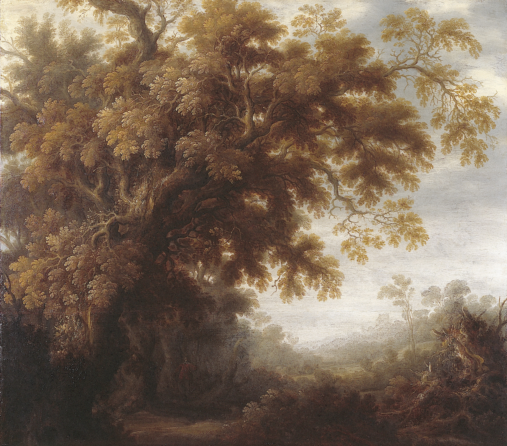 Joachim Govertsz Camphuysen, Forest landscape
