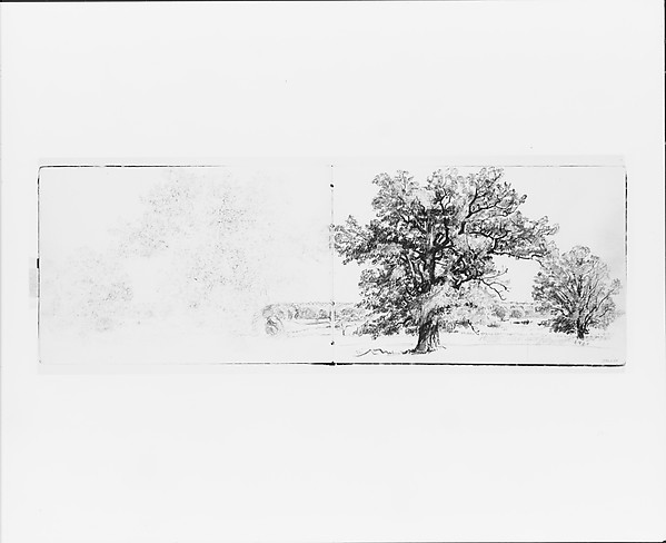 William Trost Richards, Trees and Distant Landscape (from Sketchbook VII)