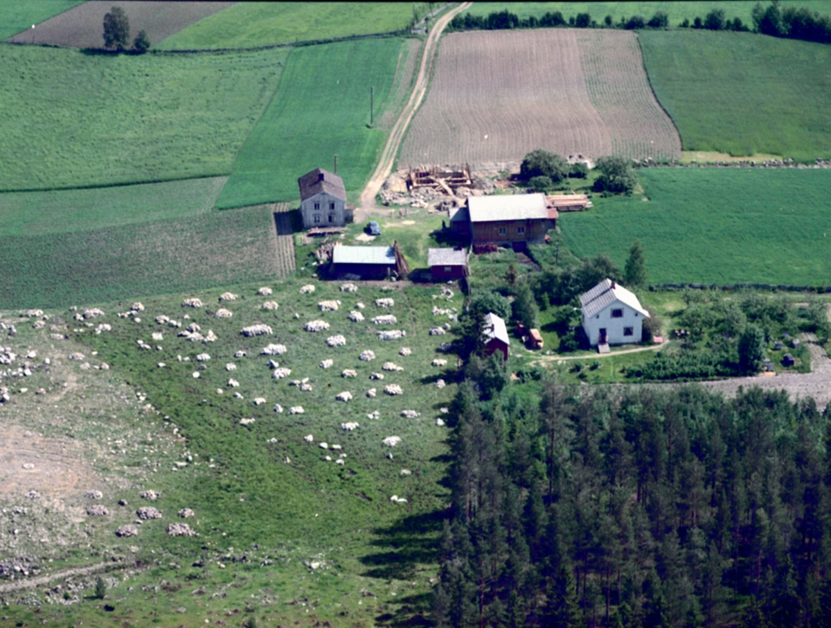 Widerøes Flyveselskap A/S, FLYFOTO LANGERUD NORDRE GARD Skogvold (Gnr 0415-33/4) nærmest (Budorvegen 196) og Lundstuen (Gnr 0415-33/2) bak (Budorvegen 242)
