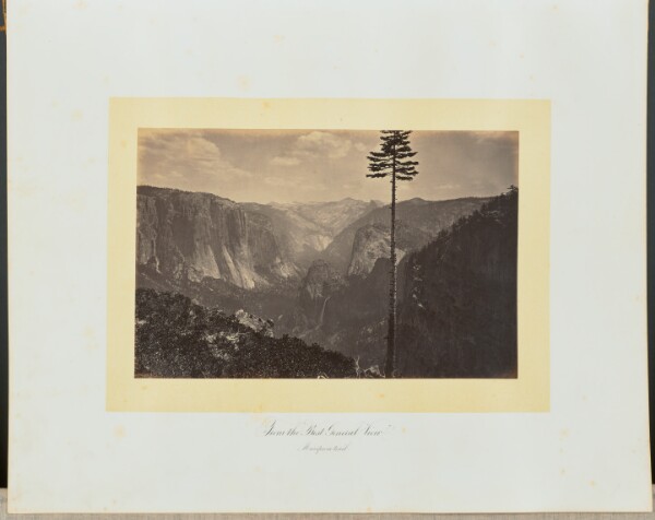 Carleton Watkins, Best General View, Mariposa Trail