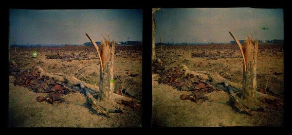 Anonymous, Photograph