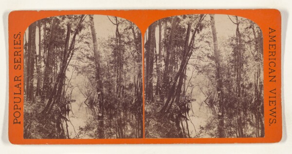 Edward and Henry T. Anthony & Co., The Narrow Pass above Eureka Landing. [on the Ocklawaha River, Florida]