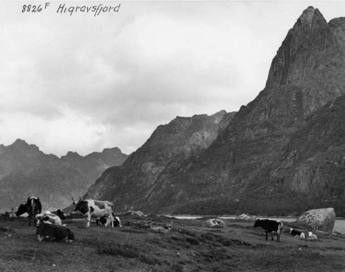 Anders Beer Wilse, -6387