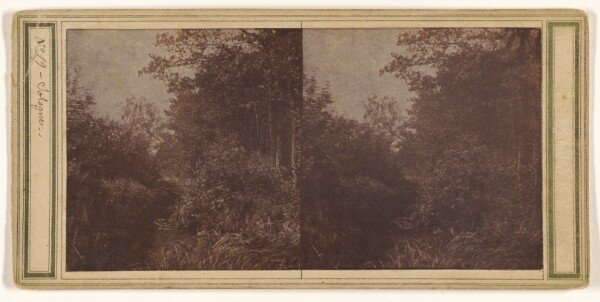 Unknown, [Sologne]