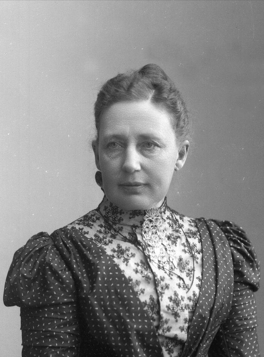Gustav Borgen, NFB.24244