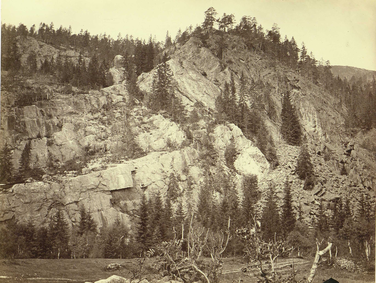 Henry Rosling, Landskap, Tinnoset, Notodden, Telemark. Fra serie norske landskapsfotografier tatt av den engelske fotografen Henry Rosling (1828-1911).