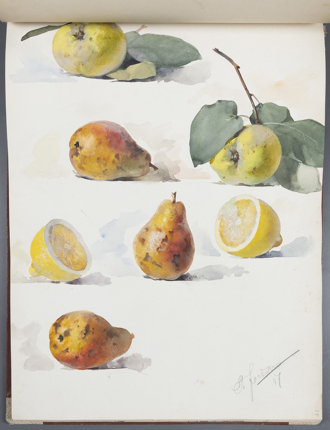 Paul Jordan, Obst: Birnen, Äpfel, Zitronen
