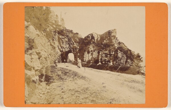 Adolphe Braun, Sites des Voges. La Schlucht.