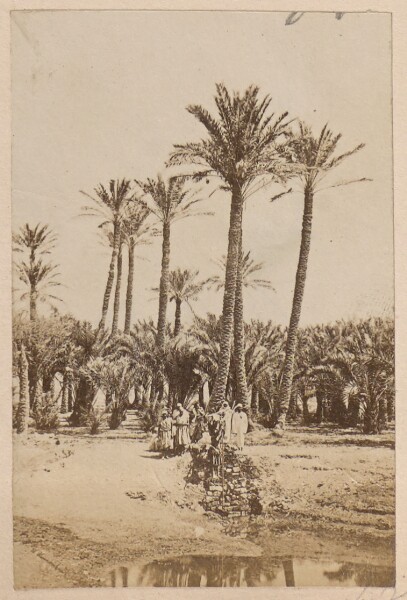 Unknown, [Landscape with Oasis]