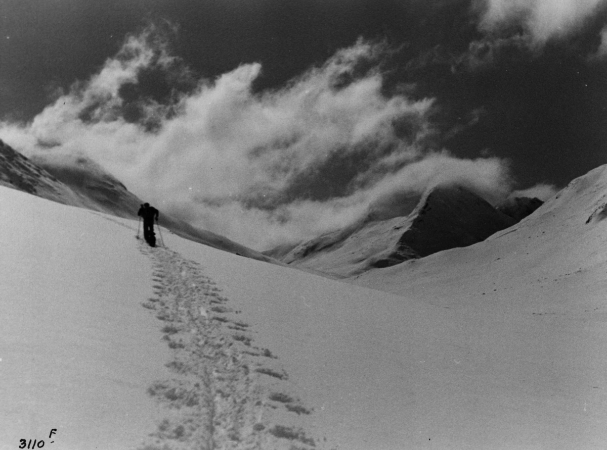 Anders Beer Wilse, Friluftsliv / Sport Ski På Heilstugubreen
