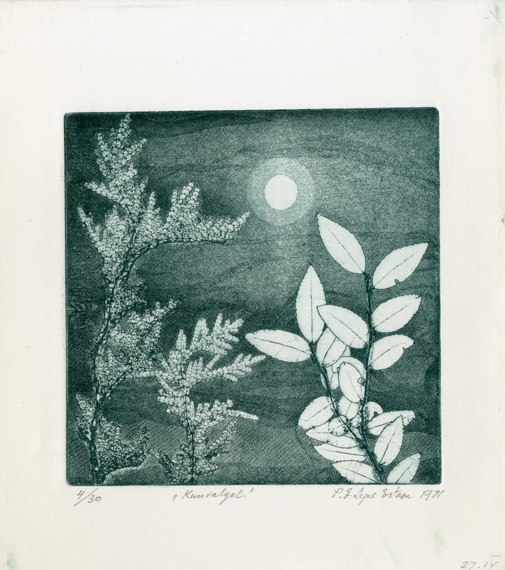 Pauline Elfriede (autor) Leps-Estam, Kuuvalgel / By Moonlight