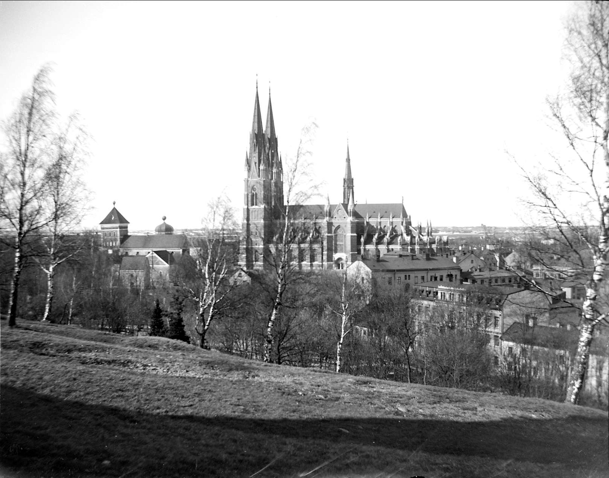 August Fredrik Schagerström, Helga Trefaldighets kyrka och Uppsala domkyrka från Slottsbacken, Uppsala 1900