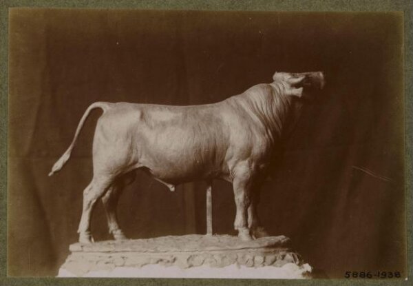unknown, Photograph