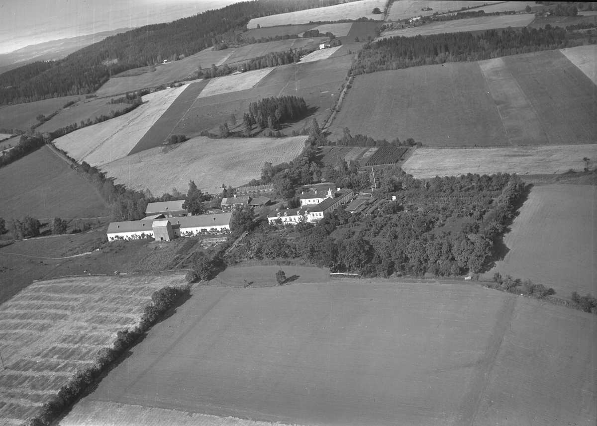 Anno Domkirkeodden, Flyfoto, gardsbruk, Hovinsholm, Helgøya.