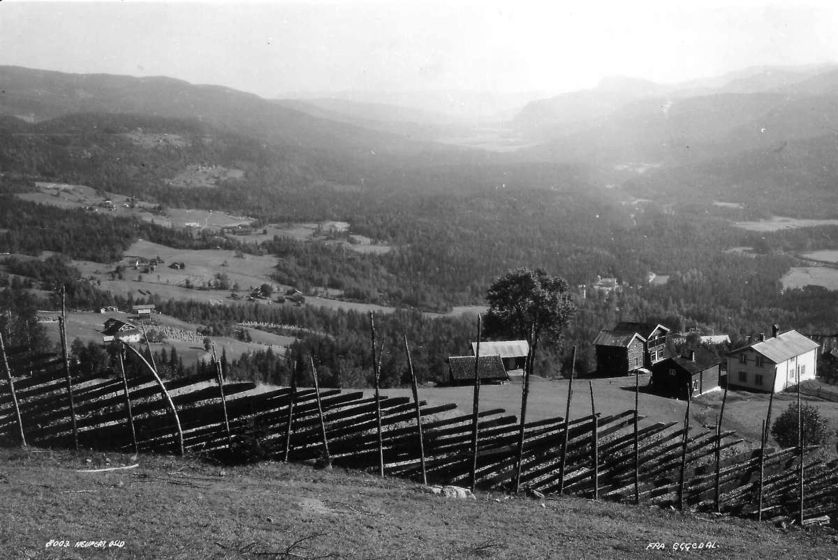 Hermann Christian Neupert, Eggedal, Sigdal.1930. Oversiktsbilde. Landskap. Utsikt over et dalføre. Skigard og gårdstun i forgrunnen. Flere gårder i bakgrunnen. Åser og skog.