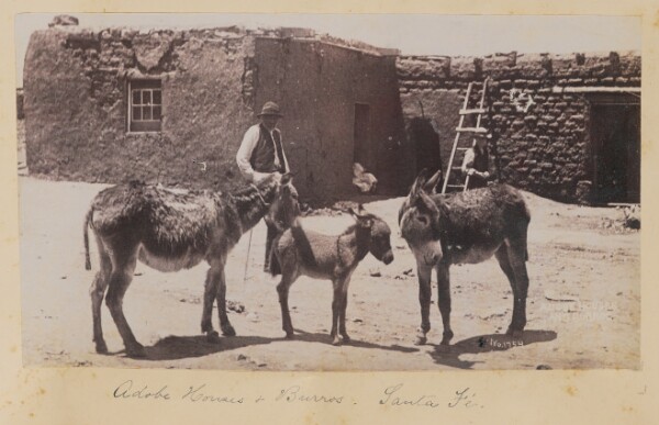 Unknown, Adobe Houses and Burros