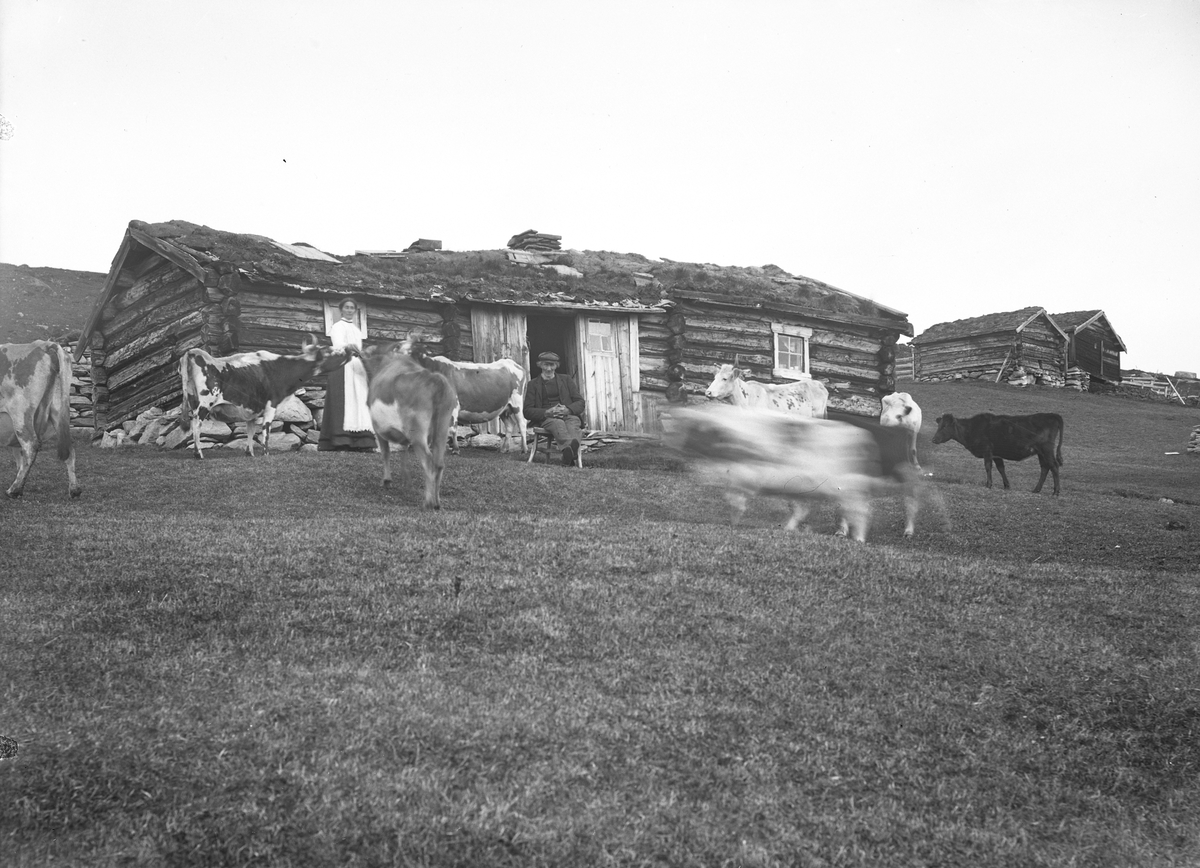 Oscar Holte, Trøen-setra (trø-setra) 1912.
