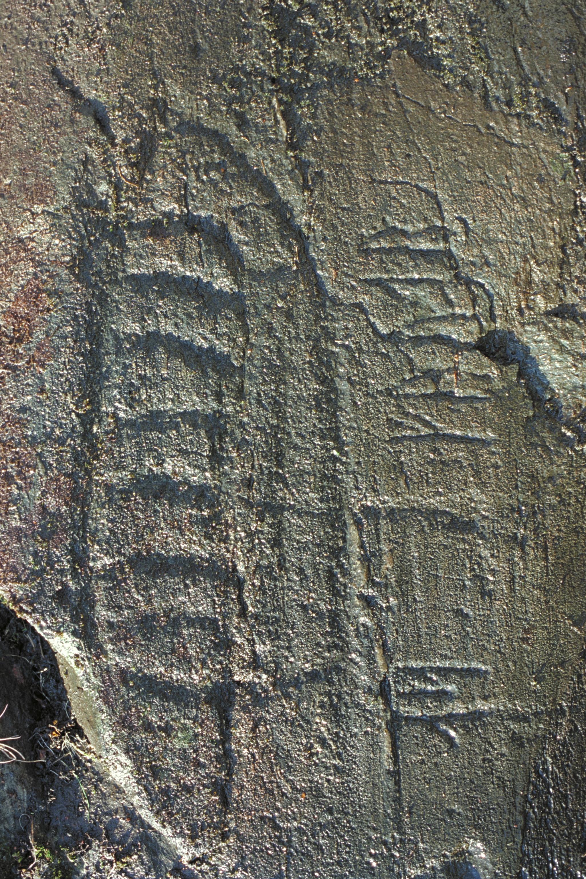 Bengt A Lundberg, Bo NIYR5;224 Utby