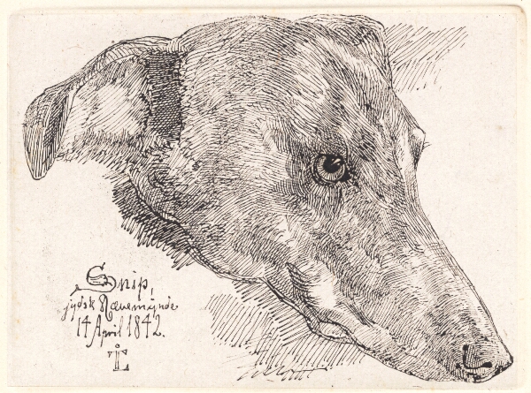 Johan Thomas Lundbye, Hundehoved, Snip