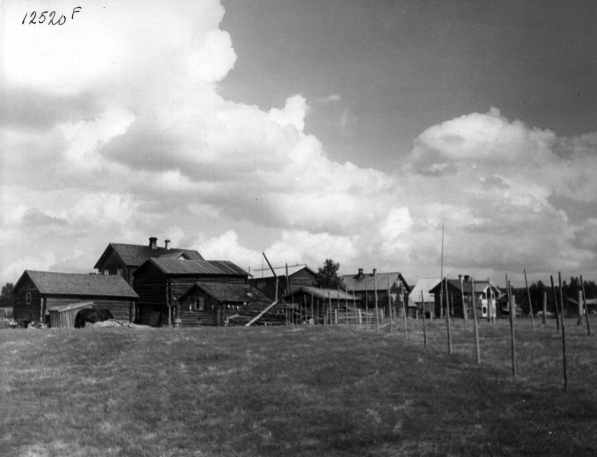 Anders Beer Wilse, Galtengårdene