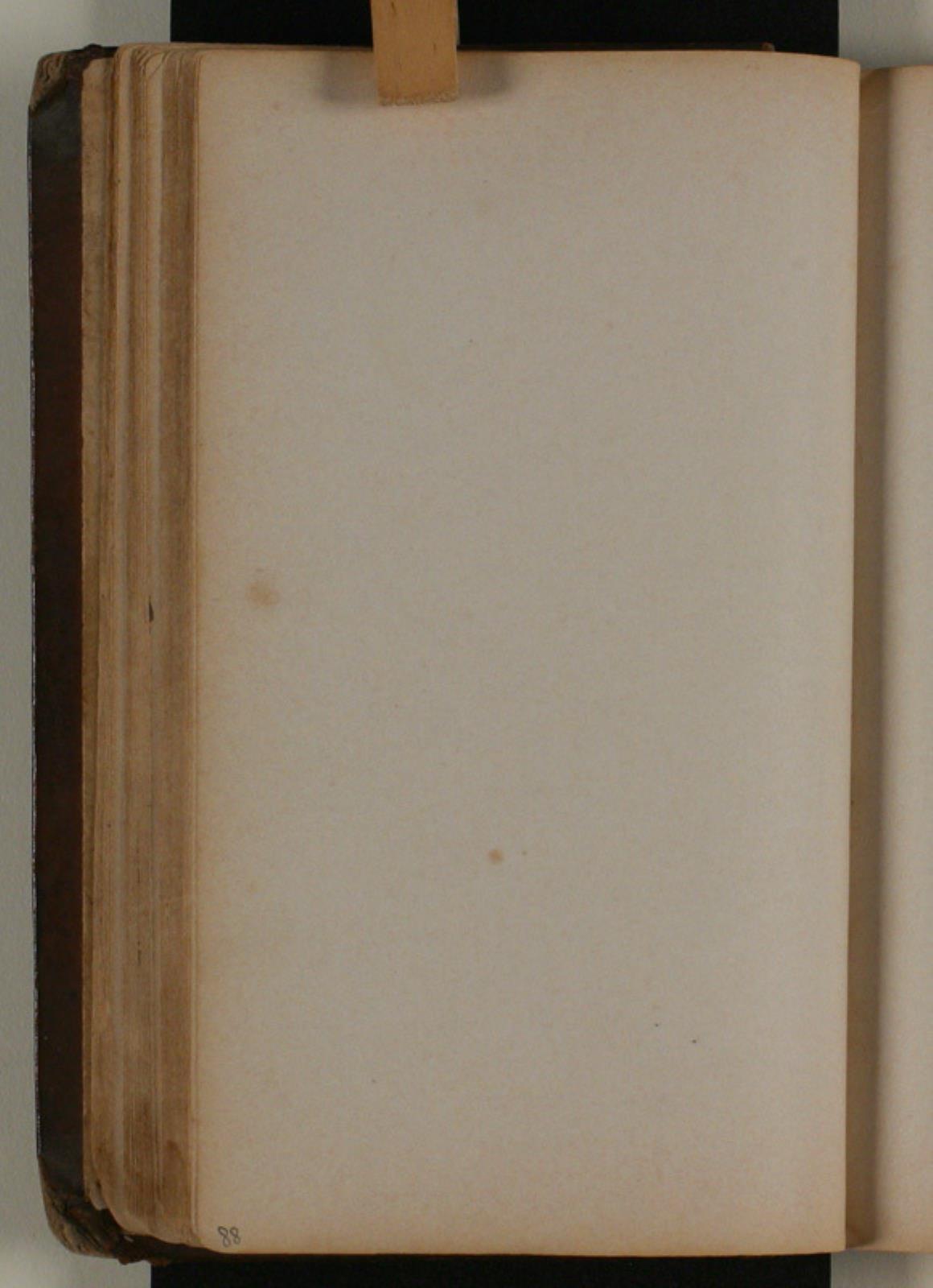 Niels Larsen Stevns, blank