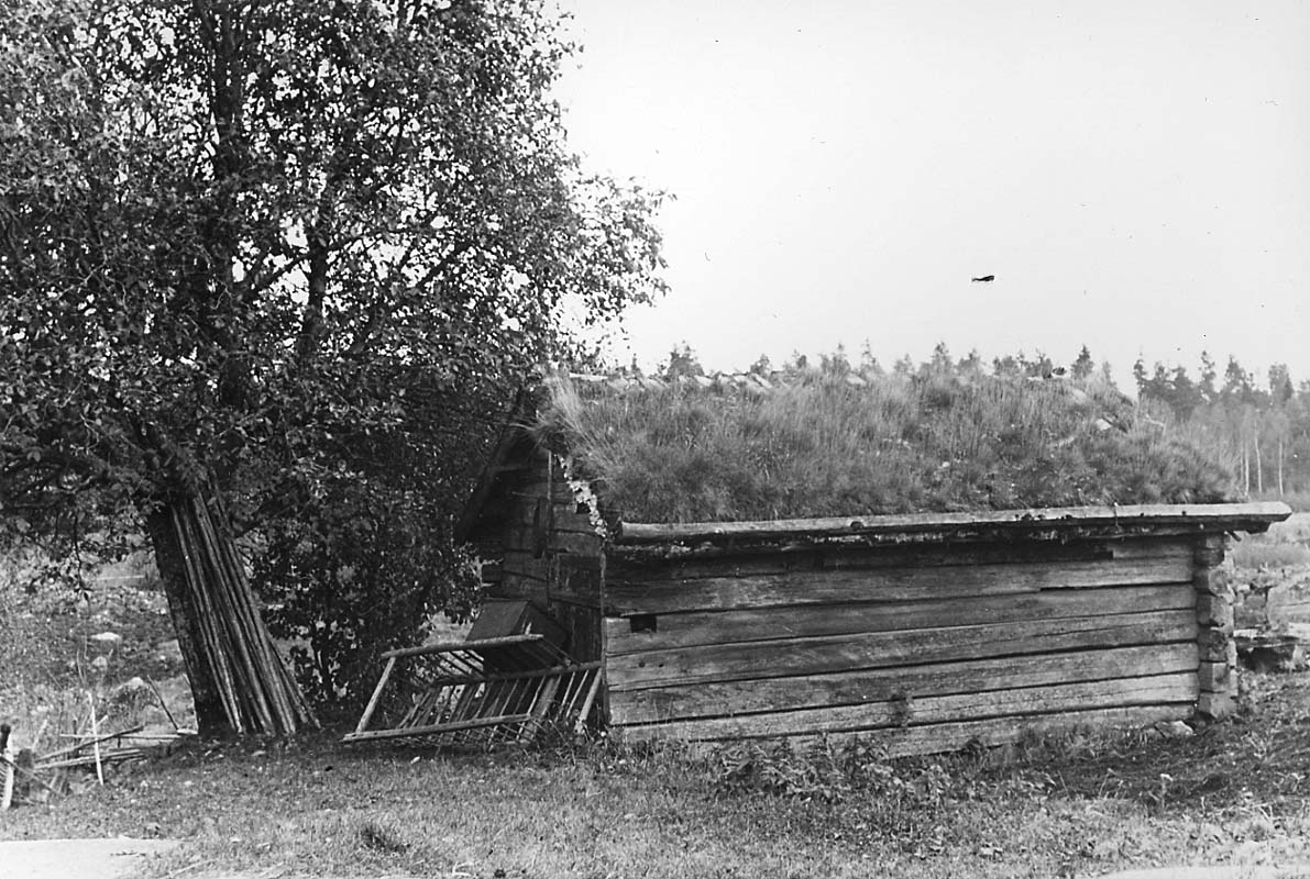 Eric von Rosen, Tjärboden. Trösslingstorp.