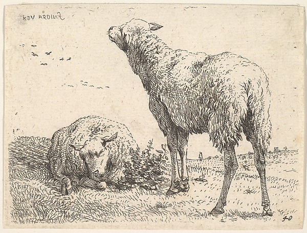 Karel Dujardin, Two sheep, one shown frontally in a reclining position with its legs folded underneath the body, to the right a standing sheep shown from behind in three-quarters view, a grassy field below them and beyond