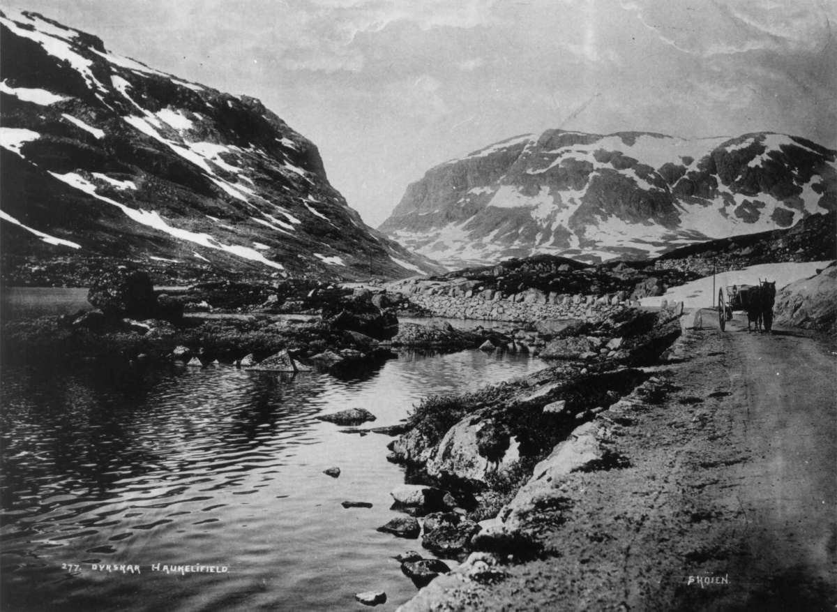 Marthinius Skøien, NF.08217-040