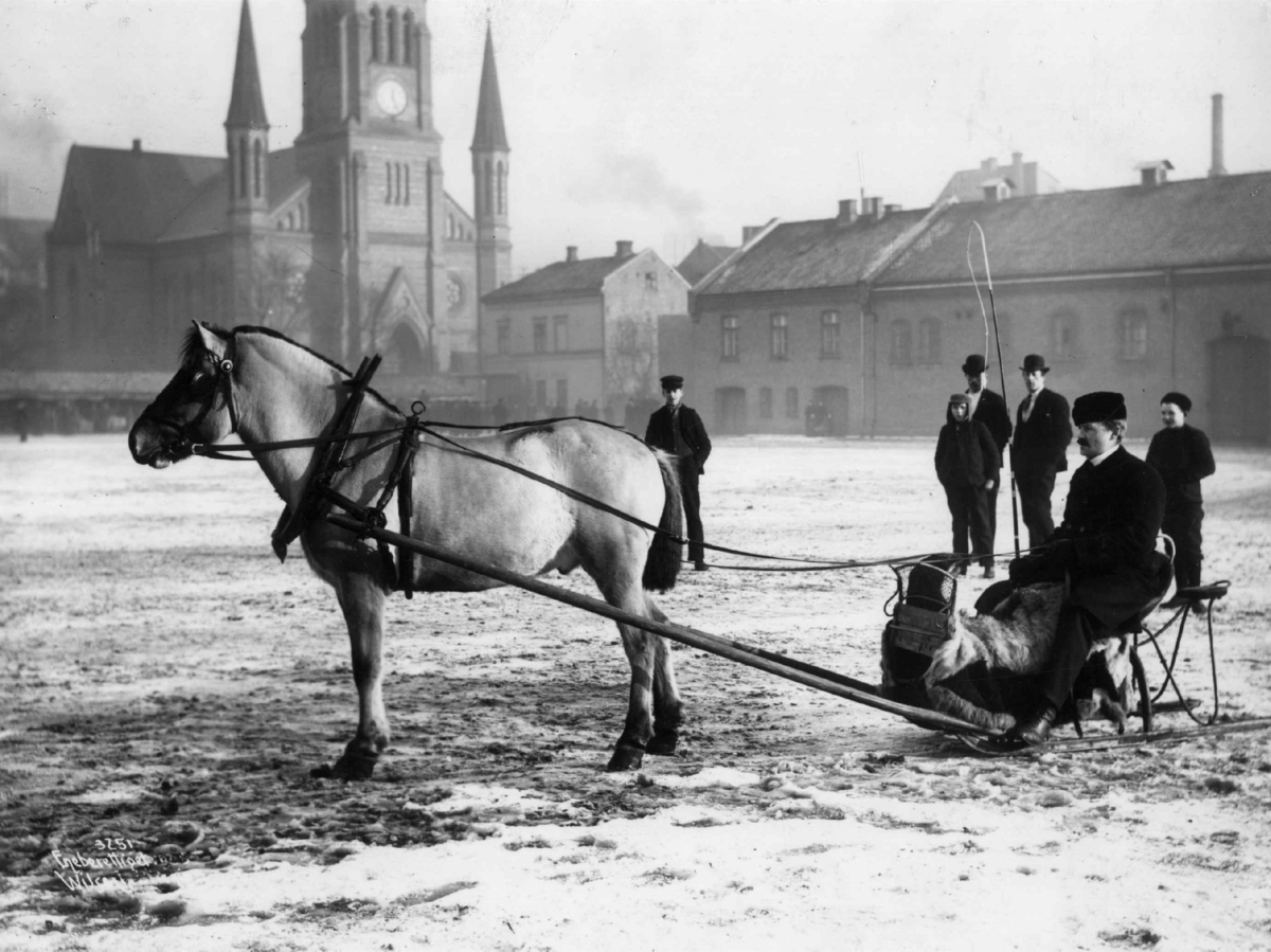 Anders Beer Wilse, Slede